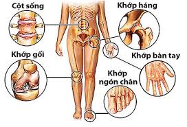 Cơ Xương Khớp